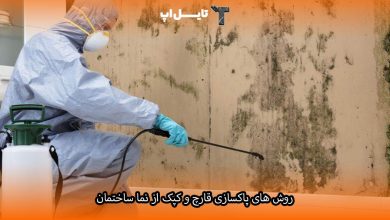 تصویر روش های پاکسازی قارچ و کپک از نما ساختمان + دلایل ایجاد