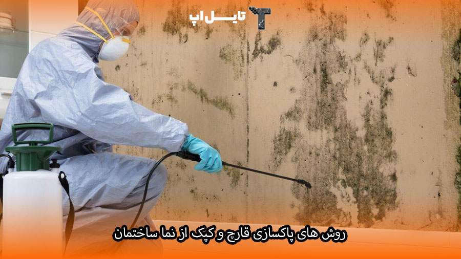 Cleaning fungus from facades